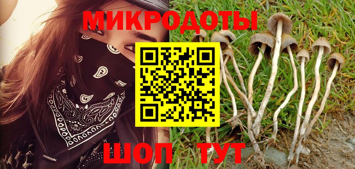 Старая Купавна  как найти закладки  Вход с VPN  Галлюциногенные грибы Magic Shrooms 